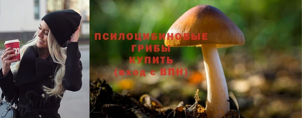 ПСИЛОЦИБИНОВЫЕ ГРИБЫ Беломорск