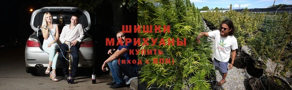 метадон Белокуриха