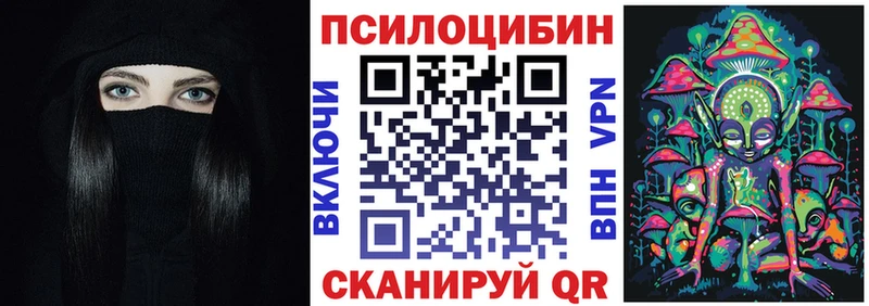 Псилоцибиновые грибы Psilocybine cubensis как найти наркотики Бикин